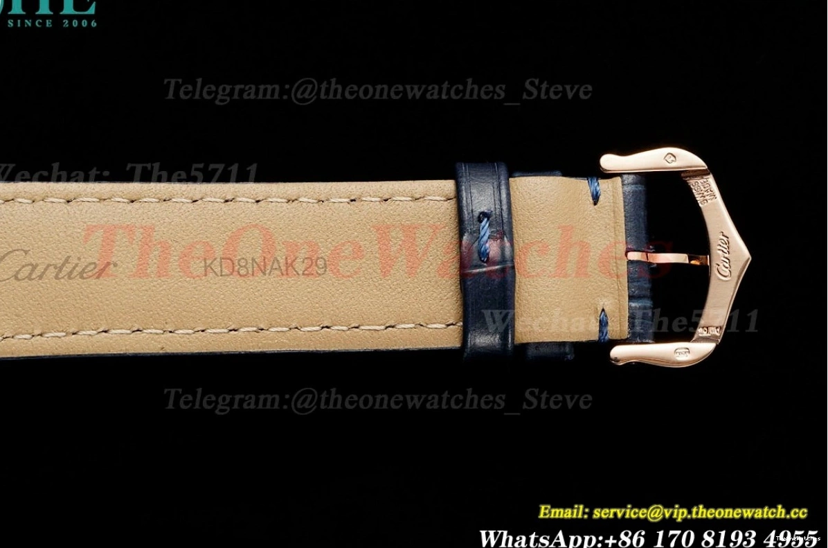 Dial Santos Quartz AF Blue LE Silver RG Dumont 0301